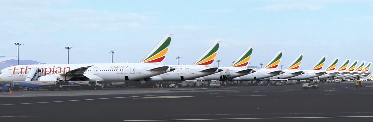 Ethiopian Cargo Banner