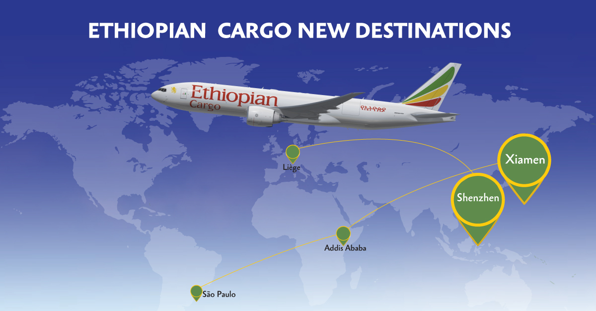 Ethiopian Cargo Banner